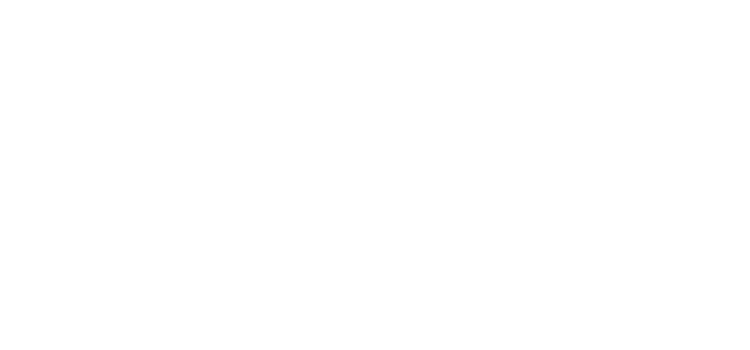 WPX.si Logo